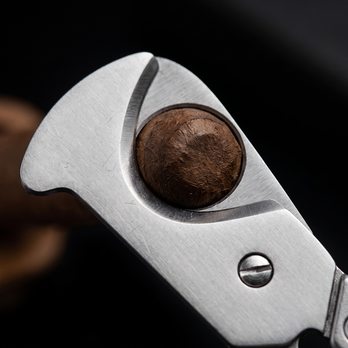 Dynasty Reserve — curved blades & round cutting opening detail