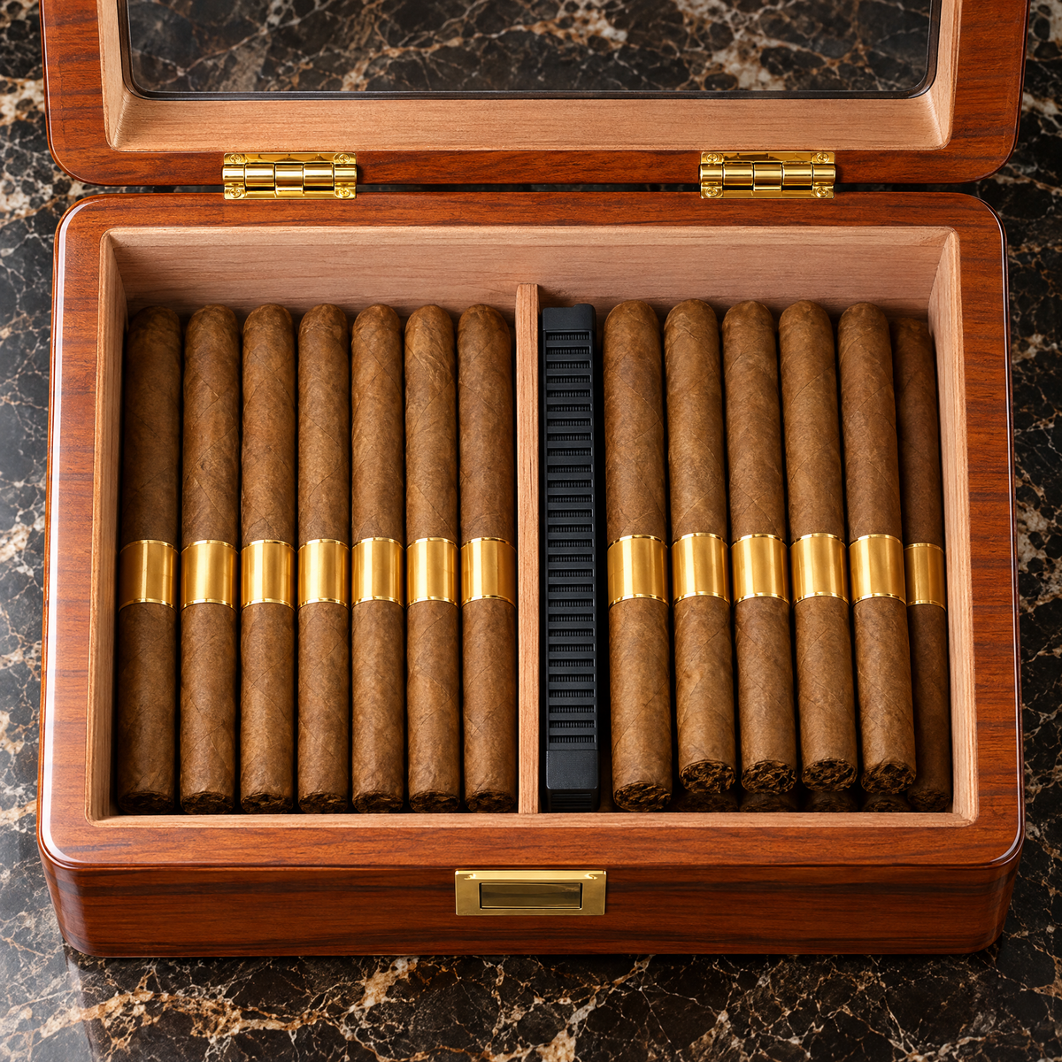 Overhead view of the open Maestro Reserve humidor and its two rows of cigars