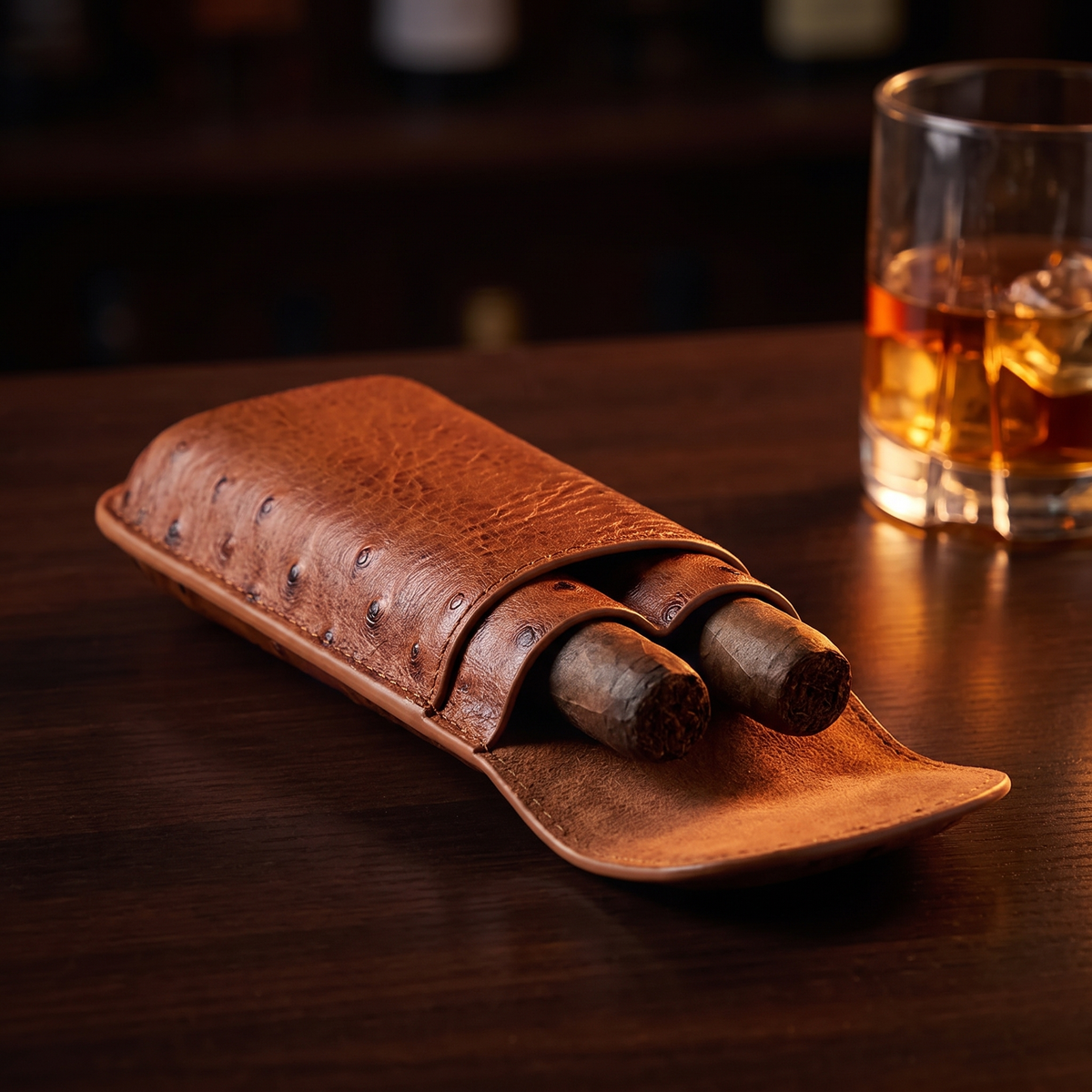 Two-Cigar Leather Travel Case — Ascot Reserve — hero